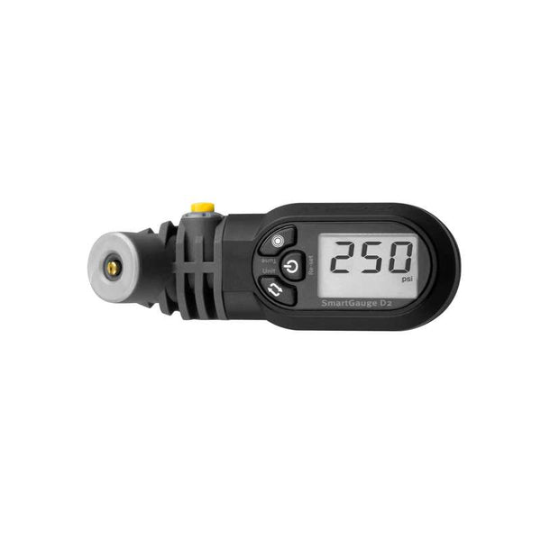 SmartGauge D2